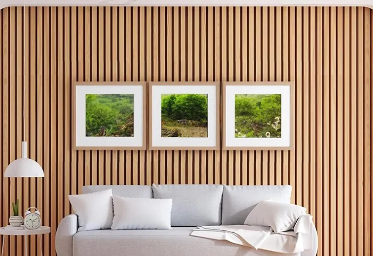 Fordelene ved WPC Wallboard.